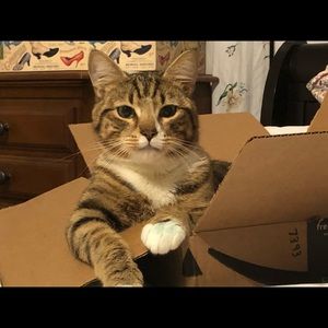 Meet your Posher, Keith